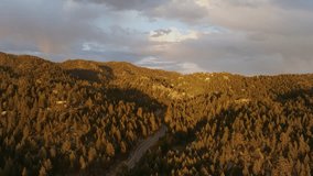 Forest landscape from the bird view. Sunset over the forest, mountains and lake. Lake Tahoe in California. Golden hour nature. Drone video