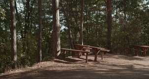 A video of an old mountain park with wooden benches and tables surrounded by dense and tranquil trees. Sunny, autumn day.