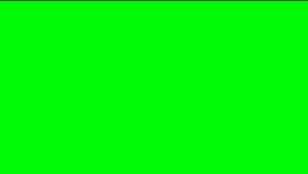 4K Green Screen Thank You looping