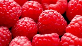 4K Ultra HD Video: Close-Up Red Raspberry Delight - Vibrant Beauty in Stunning Detail