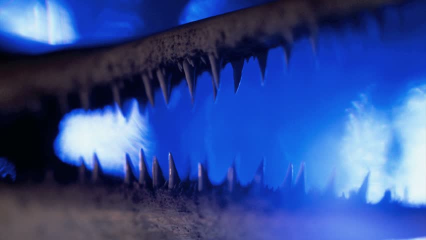 Barracuda jaw