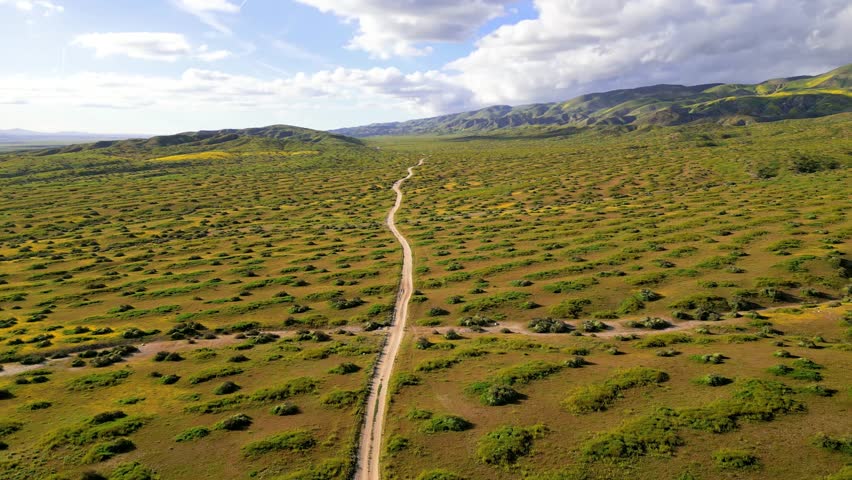 Scenic byway through Carrizo plain national monument in California .
