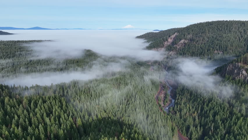 Thick, healthy forest covers the rugged, eastern slopes near Mt. Hood, Oregon. The Pacific Northwest region is home to extensive forests, impressive mountains, and vast watersheds.