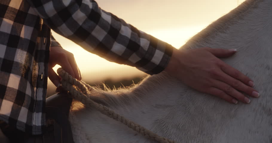 Person with horse, love and equestrian with hands for outdoor riding in countryside or ranch. Sunset, wellness or closeup of rider in nature, stable and farm with animal or pet training for rodeo