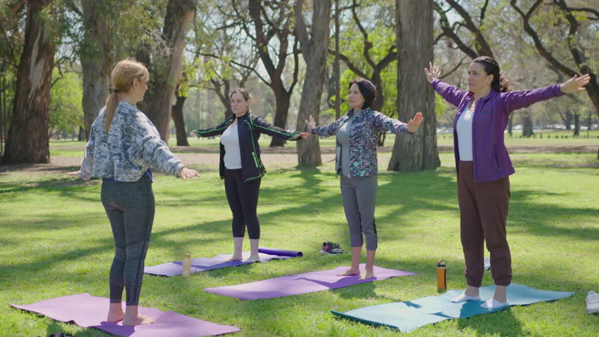 Female fitness trainer and group of mature women in sports clothing doing warm up exercise before outdoor yoga practice in the park