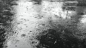Close-up view of heavy rain falling into puddles on asphalt. Raindrops on the road for the background. Asphalt is wet due to puddles of rainwater. - Powered by Shutterstock - Get 15% off with code: PIKWIZARD15