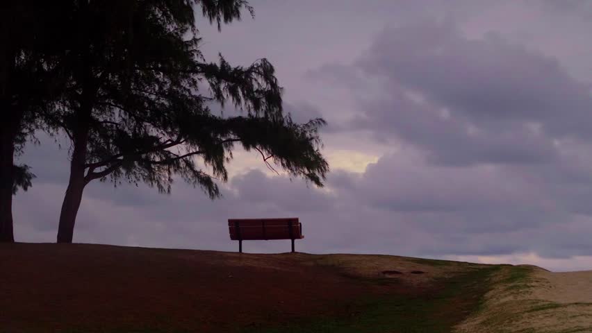 Bench in the park at dusk in 4k slow motion 60fps