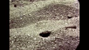 Close up, sand pouring on sunny beach. Sand grains fall down. Seashells lie on sand. Sand abstract background macro. Sea nature. Amateur grainy video. Obsolete 8mm film. 1980s-1990s ancient video