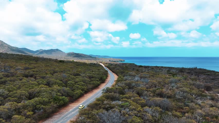 The drone is following a yellow car driving through nature on a small road near the ocean in Curacao Aerial Footage 4K