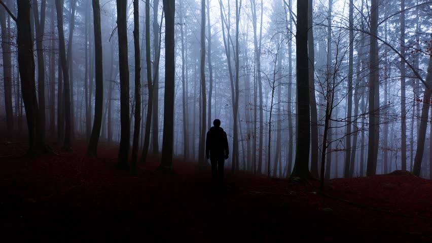 Man silhouette in mystery dark mist autumn woods landscape.