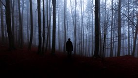 Man silhouette in mystery dark mist autumn woods landscape. - Powered by Shutterstock - Get 15% off with code: PIKWIZARD15