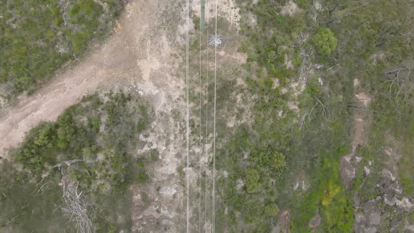 Drone aerial footage flying along telephone lines in a forest affected by bushfire in the Blue Mountains in New South Wales in Australia