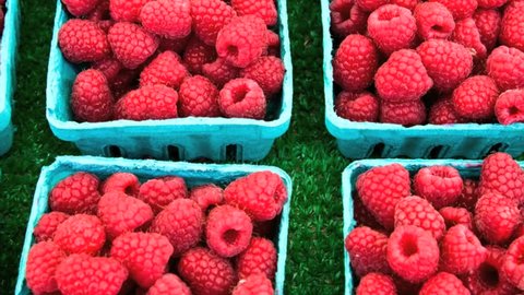 Baskets of raspberries at a farmers market 庫存影片
