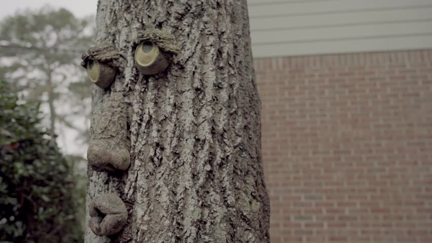 Pan left close up face on tree Atlanta Georgia 4k. Spooky funny face on tree in an Atlanta suburb.