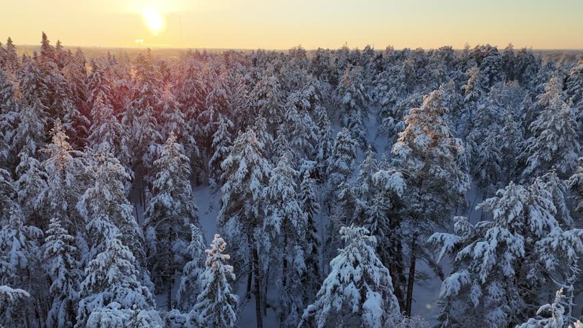 Aerial view to a snowy boreal forest during winter in Finland Royalty-Free Stock Footage #3414843179