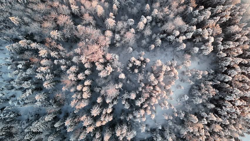 Aerial view to a snowy boreal forest during winter in Finland Royalty-Free Stock Footage #3414843477