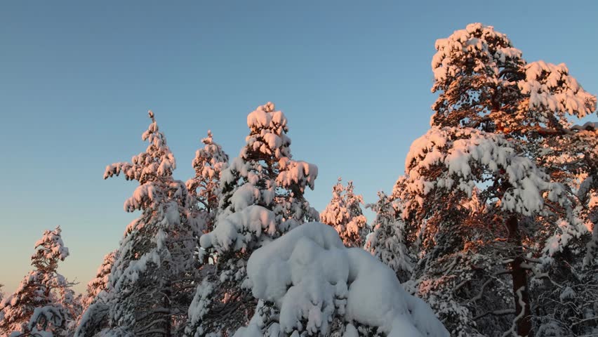 Snowy boreal forest in Finland during a cold winter day Royalty-Free Stock Footage #3414845065