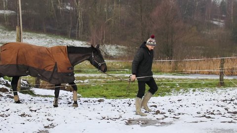 The rider is going with his horse for a walk in the winter