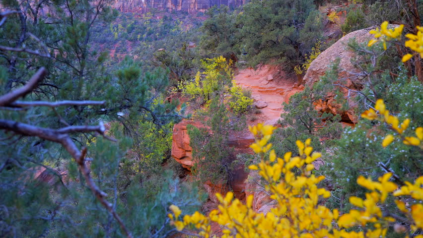 Establishing shot of mountains with red rocks in Emerald Pools Trail, Zion National Park, Utah, North America. Day time. ProRes 422 HQ.
