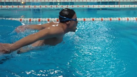 Athlete in the pool. The swimmer swims a butterfly.