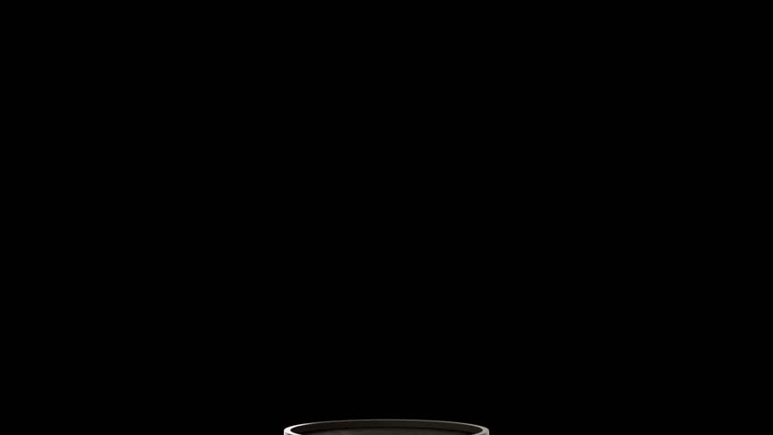 Blooming plant on a black background. 3d render