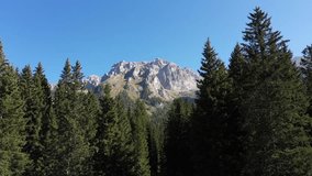 Cima Tosa 4K Drone Showcase. Flying between trees with the Italian Alps in the background.