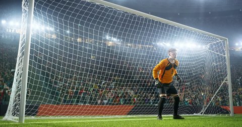 Soccer goalkeeper jumps and fails to catch balll on a professional soccer stadium. Stadium and crowd is made in 3D and animated