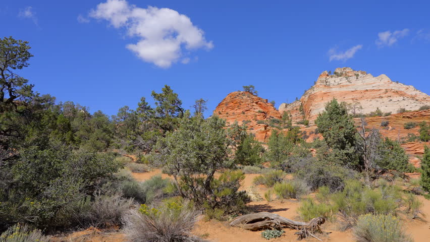 Establishing shot of mountains with red rocks in Zion Mount Carmel Highway, Zion National Park, Utah, North America. Day time. ProRes 422 HQ.