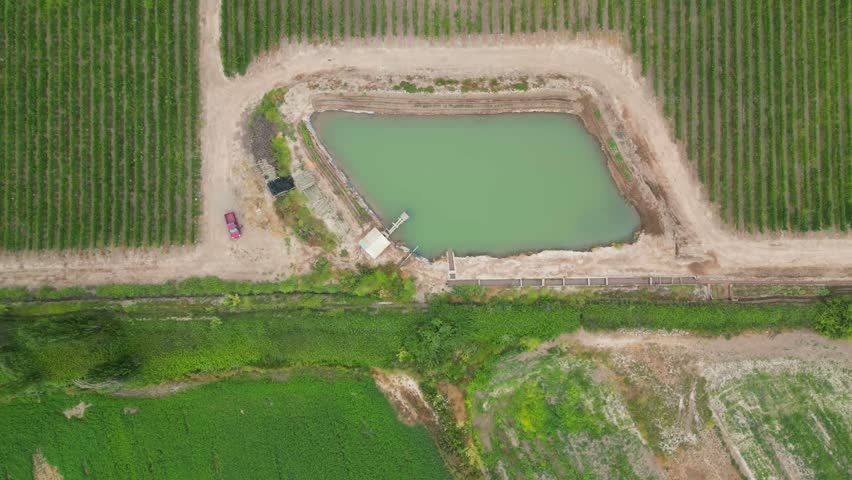 water dam that feeds grape vineyard in calera de tango chile