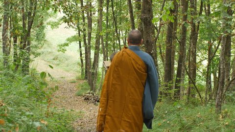 Zen monk walks away on a forest path