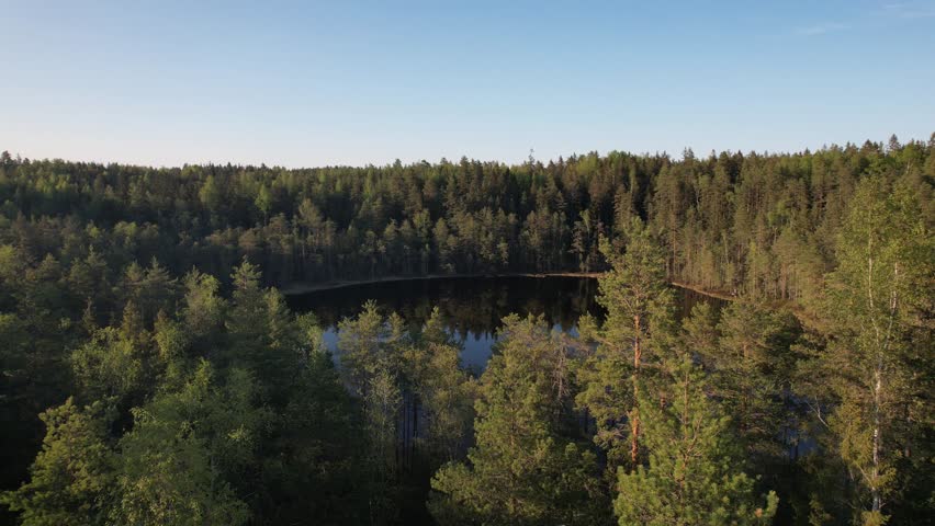 Aerial view of a forest lake in a boreal forest in Finland Royalty-Free Stock Footage #3415823795