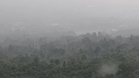 Natural video background on a high mountain overlooking the mist Covered by large trees, there is a blur of cool humid air in the morning, fresh air during adventure travel.