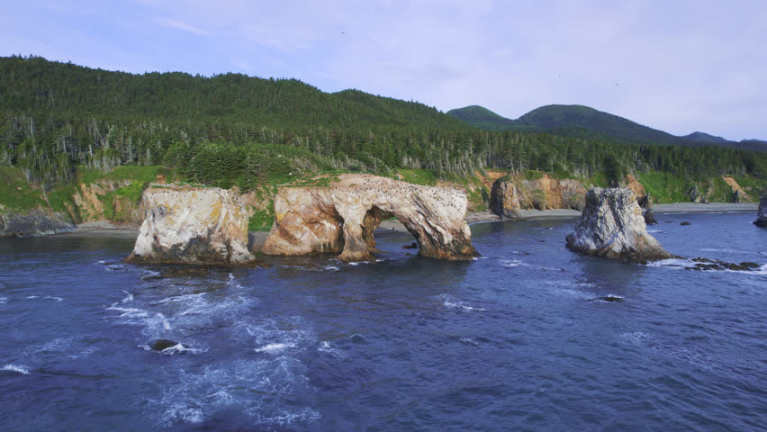 Flying Over the Cape Stolbchaty, Volcanic Rock Formation on Kunashir island, Lesser Kuril Chain, Russia. Large shot of aerial view from quadrocopter or drone. Wildlife or nature weekend or vacation.