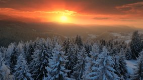 Drone footage of the forest in winter time at sunset, landscape snow covered trees nature - beautiful Europe aerial pine forest mountain, season travel white frozen nature idyllic - Powered by Shutterstock - Get 15% off with code: PIKWIZARD15