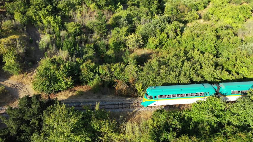 Train mooving through the forest, wineries alonong the banks of Maule river near Constitucion in Chile