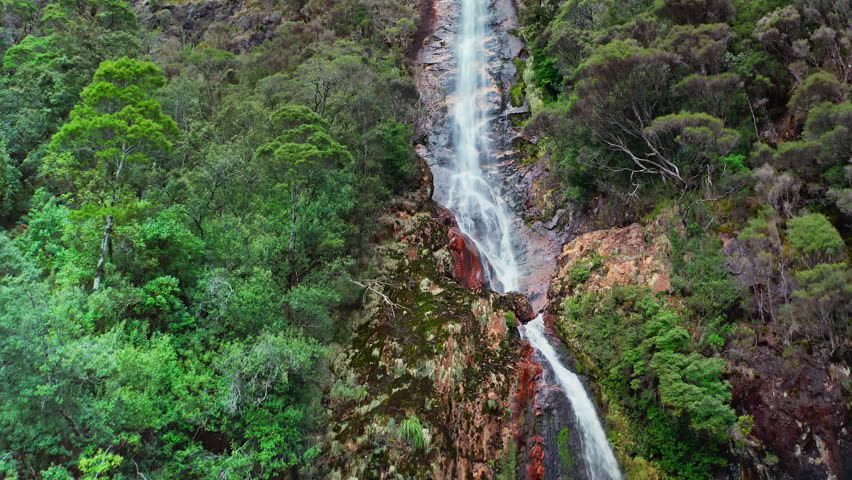 Jungle rainforest waterfall. Tasmania travel nature background. Montezuma falls Royalty-Free Stock Footage #3416176389
