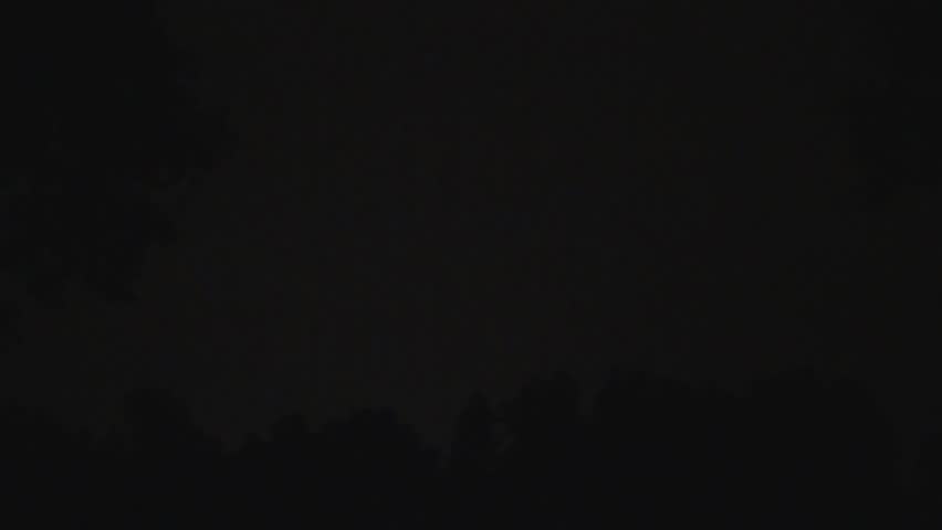 A beautiful view of tree silhouettes with a background of lightning in a dark sky