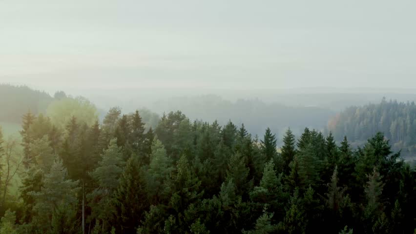 A scenic forest landscape in Bavaria, south Germany in a foggy weather. Aerial view, slow motion.