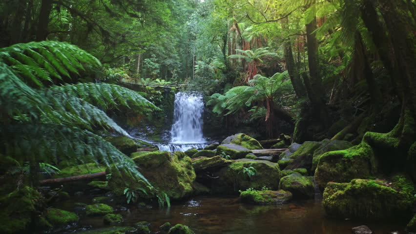 Jurassic forest nature of Tasmania Australia. Waterfall in jungle majestic view