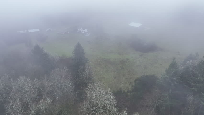 Low rain clouds drift across the Banks Vernonia trail, an old railroad bed west of Portland, Oregon. This forested area is popular amongst hikers, bikers, and campers.