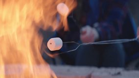 Young man and woman sit beside a fire and make s’mores  - Powered by Shutterstock - Get 15% off with code: PIKWIZARD15