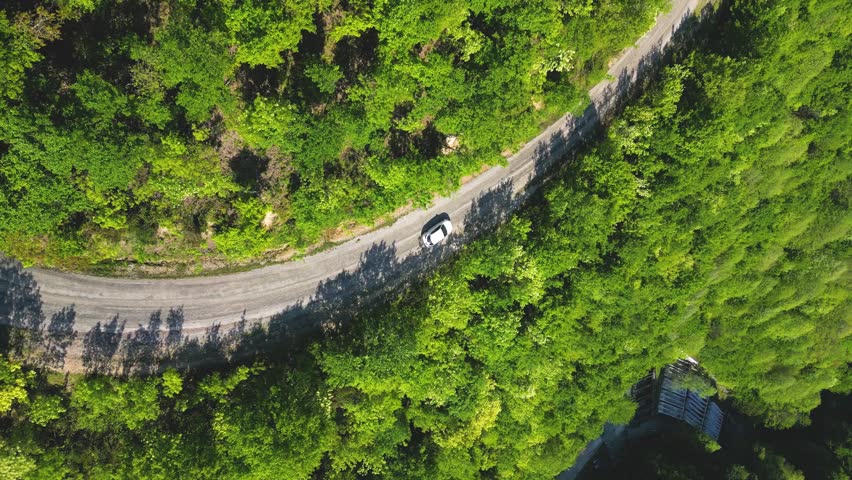 Aerial View White Car Driving Down an Asphalt Road Crossing Vast Forest on Summer Day. Aerial Shot of Car Driving on Road in Pine Tree Forest.  Royalty-Free Stock Footage #3416691507