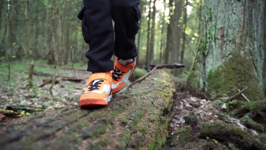 baby boy playing in the forest park. close-up child feet walking on a fallen tree log. happy family kid dream concept. a child in sneakers walks on a fallen tree in lifestyle park Royalty-Free Stock Footage #3416744461