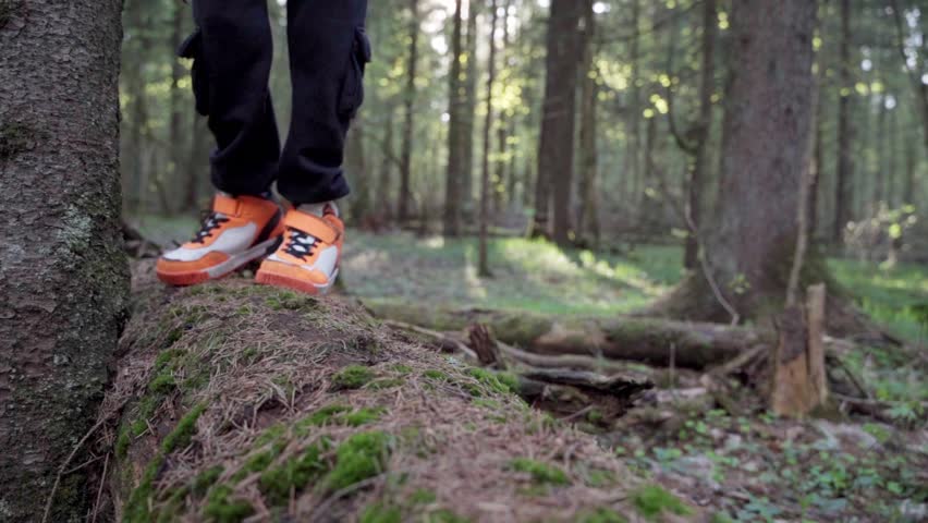 baby boy playing in the forest park. close-up child feet walking on a fallen tree log. happy family kid dream concept. a child in sneakers walks on a fallen tree in lifestyle park Royalty-Free Stock Footage #3416744531