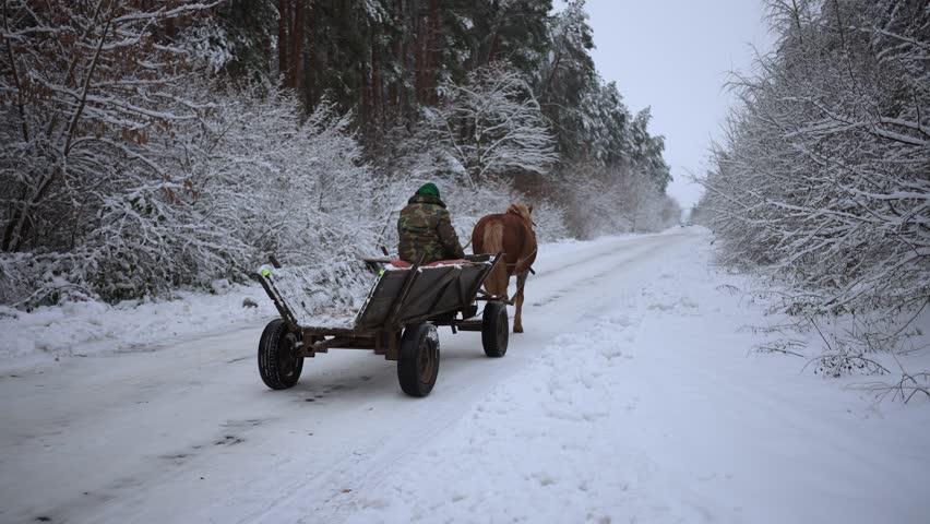 A horse pulls a cart in the village through the snow