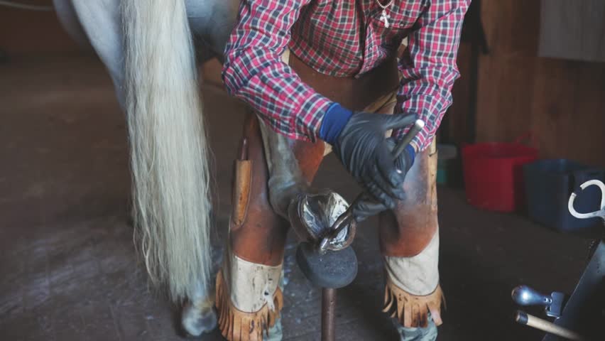 male hands blacksmith in black gloves shoeing a horse