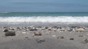 HD high quality video footage of seashells at Western Cape's Atlantic coast Bloubergstrand white sand beach in Cape Town, South Africa on sunny summer morning