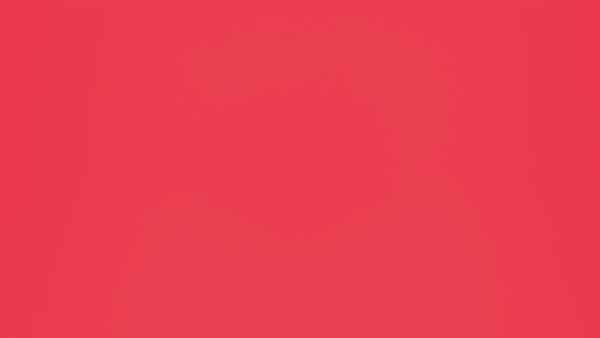 Red Rose Petals fall and form heart shape. Valentines day concept. 3 render animation