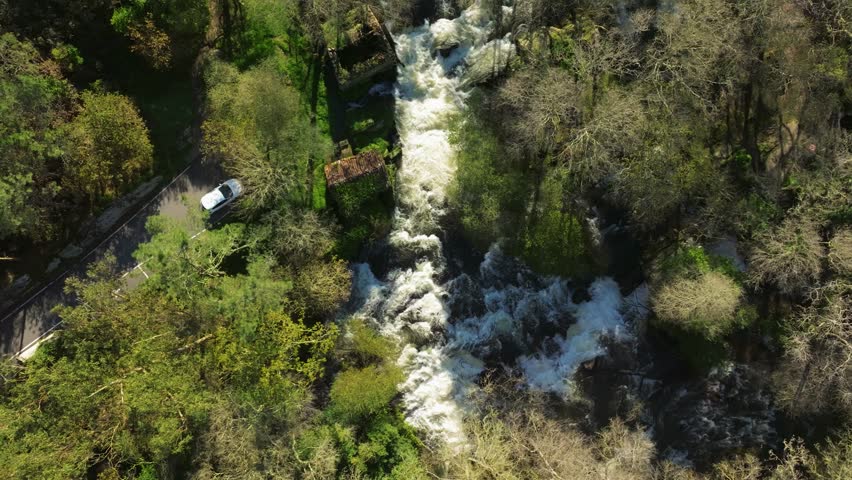 Overhead View Of Cascade Flowing Through The River Amid The Trees In The Forest. - aerial shot