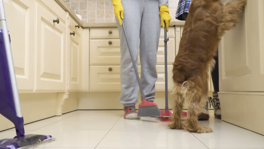 A dog prevents a housewife to clean the floor in the kitchen
